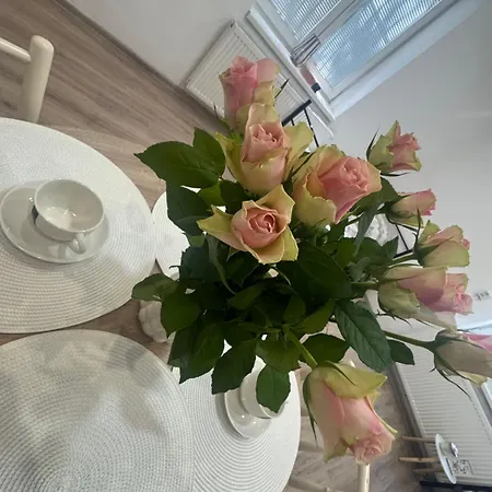 Perfekt Group Guest house