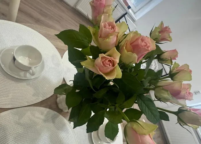 Perfekt Group Penzion